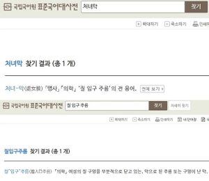 국립국어원 표준대사전에서 '처녀막'과 '질 입구 주름'을 검색한 모습